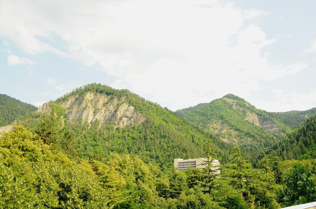 Alma-Ata Hotel Borjomi Ngoại thất bức ảnh