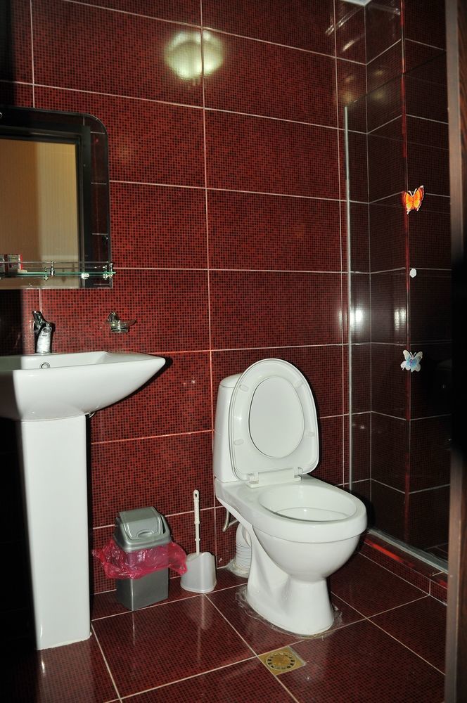 Alma-Ata Hotel Borjomi Ngoại thất bức ảnh